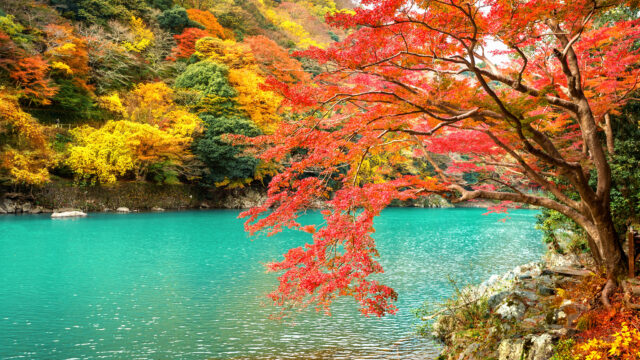 Arashiyama in autumn season along the river in Kyoto, Japan.