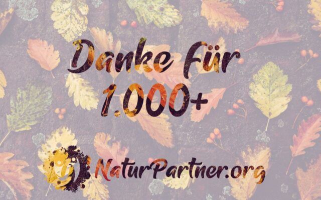 1000Danke