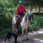 Profilbild von MountShasta