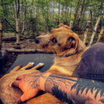 Profilbild von CloudRider